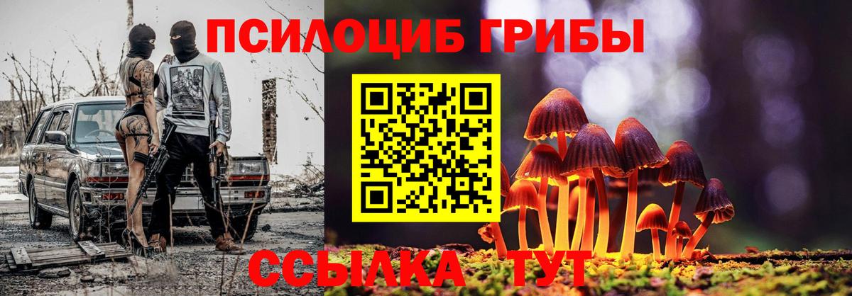 Псилоцибиновые грибы GOLDEN TEACHER Шелехов