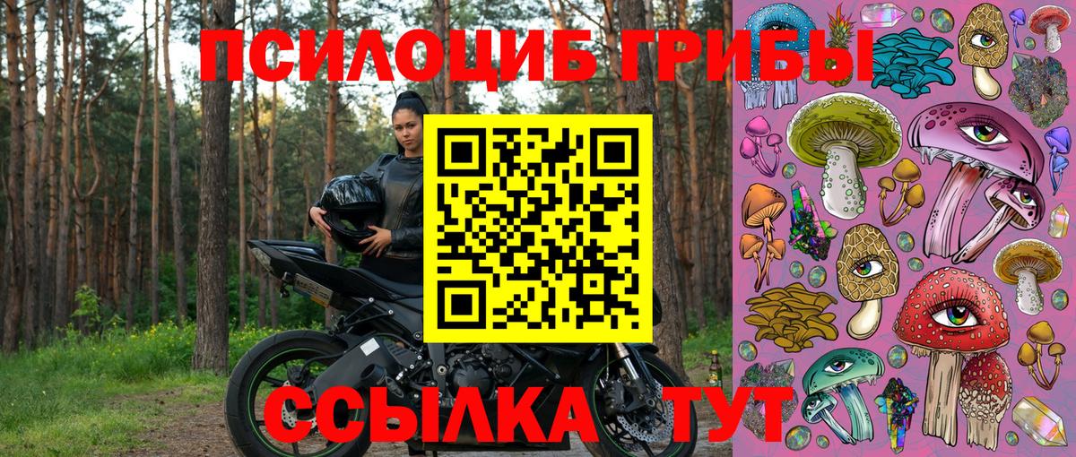 Шелехов  Галлюциногенные грибы ЛСД  Вход с VPN  хочу   Галлюциногенные грибы прущие грибы 